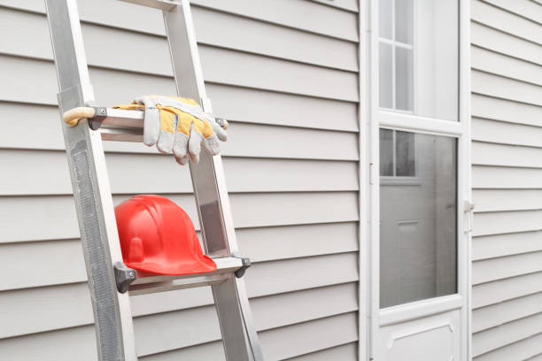 Professional Siding Installation & Repair in Springfield, MN